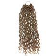 thumbnail image 6 of 1Pack Twist Locs Crochet Hair 20 inch Curly Rolls Twist Braids Wig Braids Hair With Curly Hair in Middle and Ends faux locs Synthetic Hair Extension Ponytail Brading Hair, 6 of 7