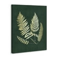 thumbnail image 4 of Stupell Industries Gilded Fern Sprigs Plants & Flowers Painting Wrapped Canvas Art Print Wall Art, 36 x 48, 4 of 8