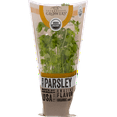 Organic Potted Parsley Green Live Plant, 1 Each