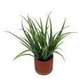 thumbnail image 5 of Mainstays by Becky G. & Alejandra 9.5" Artificial Grass in Orange Two-Tone Ribbed Ceramic Pot, 5 of 8
