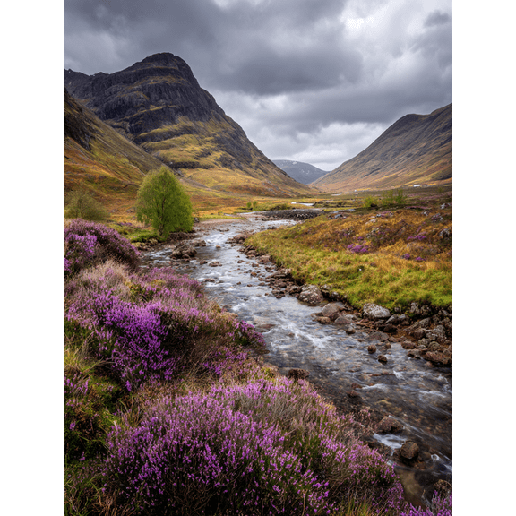 Scottish Highlands Heather River Canvas Print Wall Art, Nature Scenery Decor for Living Room Bedroom Hotel Cafe