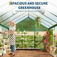 thumbnail image 3 of 6x8 FT Greenhouse, Easy Assembly Aluminum Polycarbonate Greenhouses for Outdoors with Roof Vent and Ground Nails, Heavy Duty Aluminum Walk-in Greenhouse for Backyard, Sliding Lockable Door, Green, 3 of 6