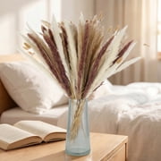 Sanmadrola 85 Pcs Natural Dried Pampas Grass Boho Home Decor Dried Flowers for Wedding Floral Arrangements Wall Bathroom Décor Spring Decor