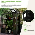 thumbnail image 3 of EUROCO 78" Wood Large Greenhouse Cold Frame, Portable Walk-in Outdoor Greenhouse with Openable Roof, 4 Independent Skylights and 2 Folding Middle Shelves, Black, 3 of 8