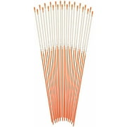 Blazer 381ODM-24 Reflective Driveway Marker, Orange 48-inch (Pack of 24)