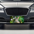 thumbnail image 3 of Rabbit Bunny Photo Metal Novelty License Plate, 3 of 7