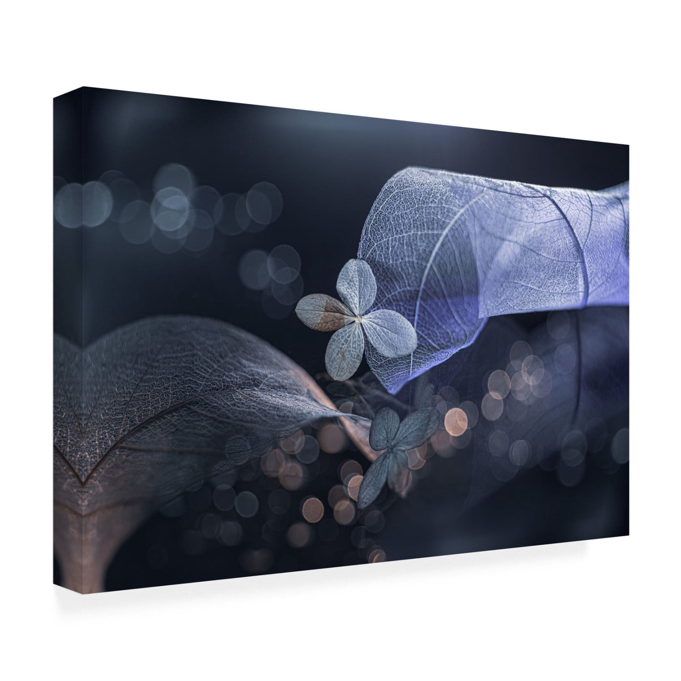 Canvas Wall Art - Igor Kopcev 'Fantasasa De Invierno' Wall Art for Living Room, Bedroom, or Office Décor by Trademark Fine Art - 47 x 30 Inches