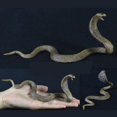 thumbnail image 4 of 17cm Realistic Lifelike Cobra Snake Replica Animal Model PVC Figure Kids Toys, 4 of 4