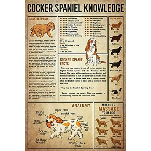 Funny Retro Metal Tin Sign Cocker Spaniel Knowledge Poster Anatomy of Cocker Spaniel Poster Wall Decor Arts Decor Decorative Crafts Best Gift for Birthday Christmas 8"x12"