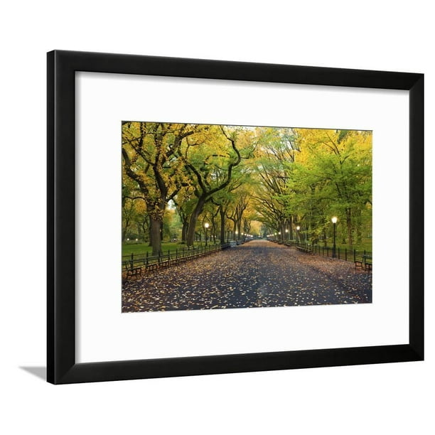 Central Park Coordinates