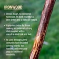 thumbnail image 3 of Brazos Rustic Wood Walking Stick, Ironwood, Traditional Style Handle, for Men & Women, , 58", 3 of 10
