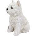 thumbnail image 5 of Ebros Sitting West Highland Terrier White Westie Puppy Dog Statue 6.75"High, 5 of 5