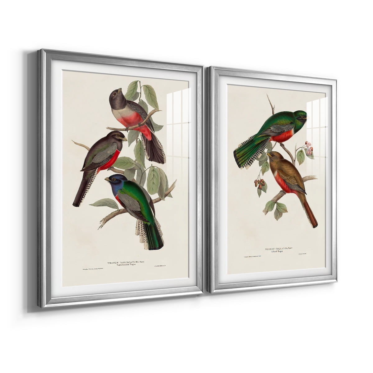 Wexford Home Elegant Trogons V Premium Framed Print, 18.5" x 24.5" - Ready to Hang, Silver (Set of 2)