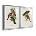 thumbnail image 2 of Wexford Home Elegant Trogons V Premium Framed Print, 26.5" x 36.5" - Ready to Hang, Silver (Set of 2), 2 of 9