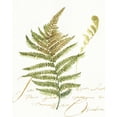 thumbnail image 2 of Audit, Lisa 12x14 White Modern Wood Framed Museum Art Print Titled - My Greenhouse Fern II, 2 of 4