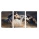 thumbnail image 1 of Cuadro Decorativo Tríptico Vertical Caballos Galopando Canvas Revolution  Set De 3 Cuadros 25x38 cm, 1 of 5
