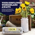 thumbnail image 4 of Harris Seeds Sunflower Grow Kit, Complete Garden Starter Kit for Planting Sunflowers, 4 of 7
