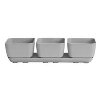 Root & Vessel Majestic Herb & Succulent Trio Planter, Gray