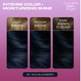thumbnail image 5 of Clairol Bold & Bright Permanent Hair Color Creme, 28 Wild Blackberry, Hair Dye, 1 Application, 5 of 13