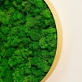 thumbnail image 5 of Luxury Home Interior Design Nature's Geometry - Round Combination Moss Art Hanging Frame 3 pcs Set, 5 of 6