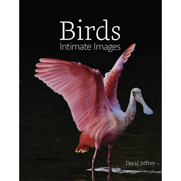 Birds: Intimate Images, (Hardcover)