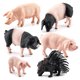 thumbnail image 5 of Modelo de simulación de animales de granja feliz para niños Brillar Electrónica, 5 of 5