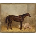 thumbnail image 3 of Harald R Hall 24x20 Black Modern Framed Museum Art Print Titled - Prince Charlie, 3 of 5