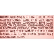 Camille Rose Sweet Ginger Cleanse & Refresh All Ages Cleansing Rinse with Ginger Root & Aniseed Oil, 12oz