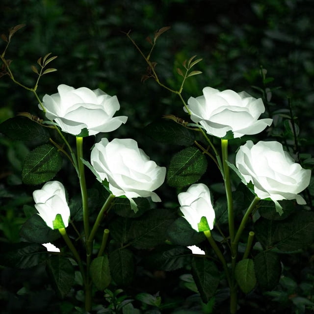 FloreceBien Luces solares de jardín, decoraciones navideñas para patio, luces solares de flores de rosas con 6 flores de rosas, impermeables para jardín, patio, decoración de caminos, paquete de 2