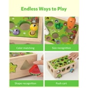 Coogam Montessori Fine Motor Toys for Baby Toddler, Wooden Shape Sorter Carrot Harvest Game for 2 3 4 Year Old