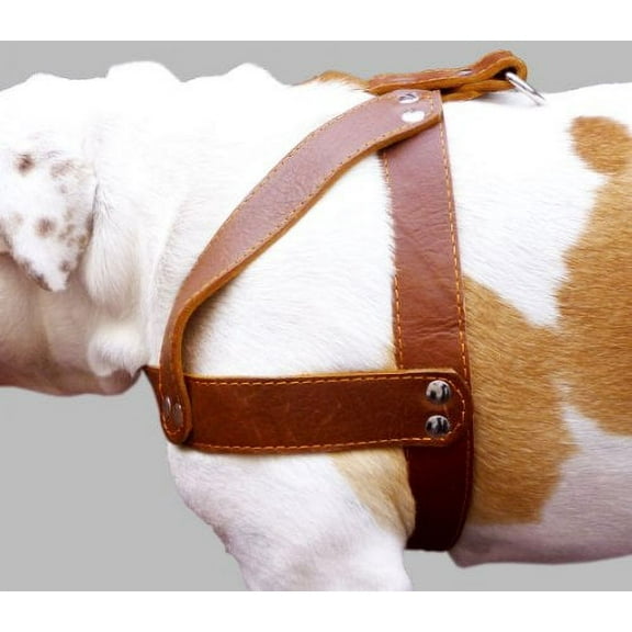 Brown Leather Dog Harness, Large. 28"-34" Chest, 1.5" Wide Straps, Rottweiler Bulldog