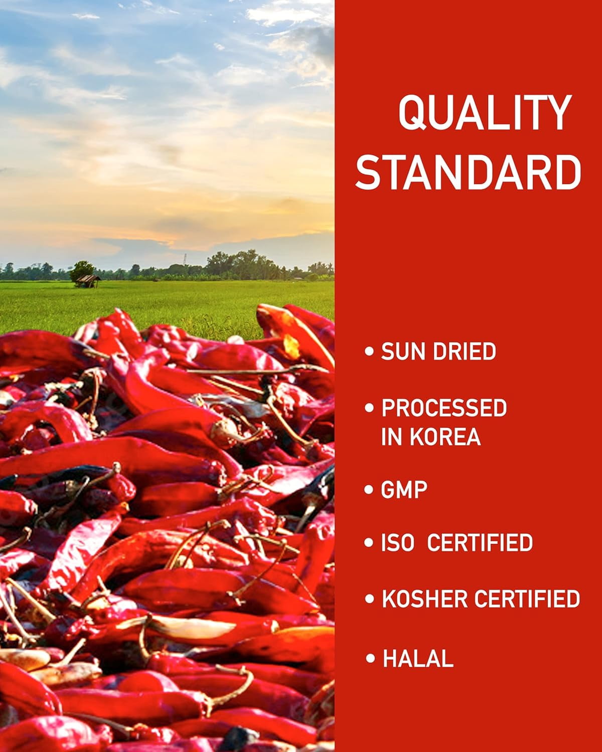 Taekyung Chili Powder For Paste (Fine, 3LB) - Korean Gochugaru. Red Pepper Spice Seasoning for Asian Food. MSG Free.