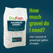 GloFish Aquarium Gravel 5 Pounds, White, Complements GloFish Tanks