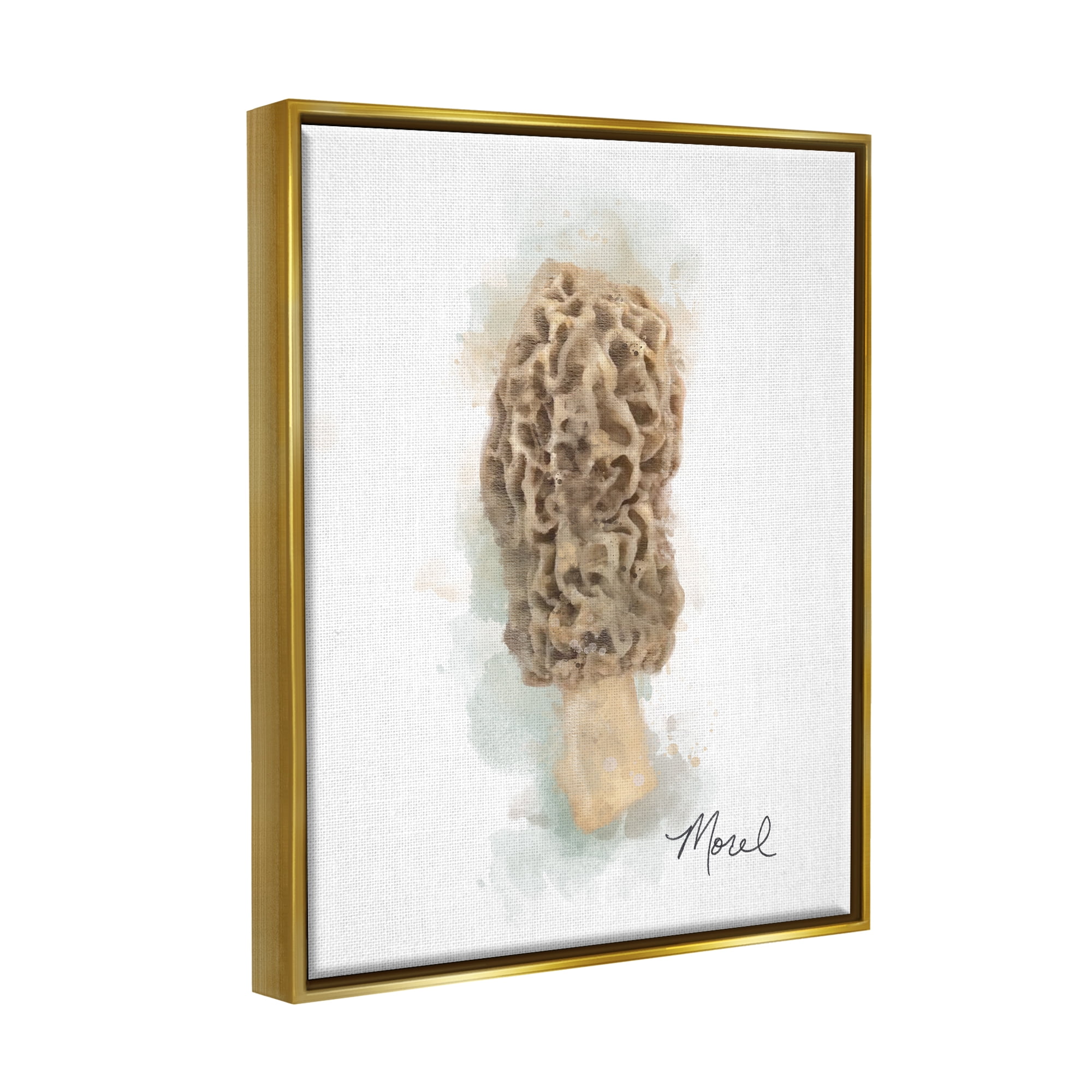 Stupell Industries Abstract Morel Mushroom Botanical & Floral Painting Gold Floater Framed Canvas Art Print Wall Art, 17 x 21