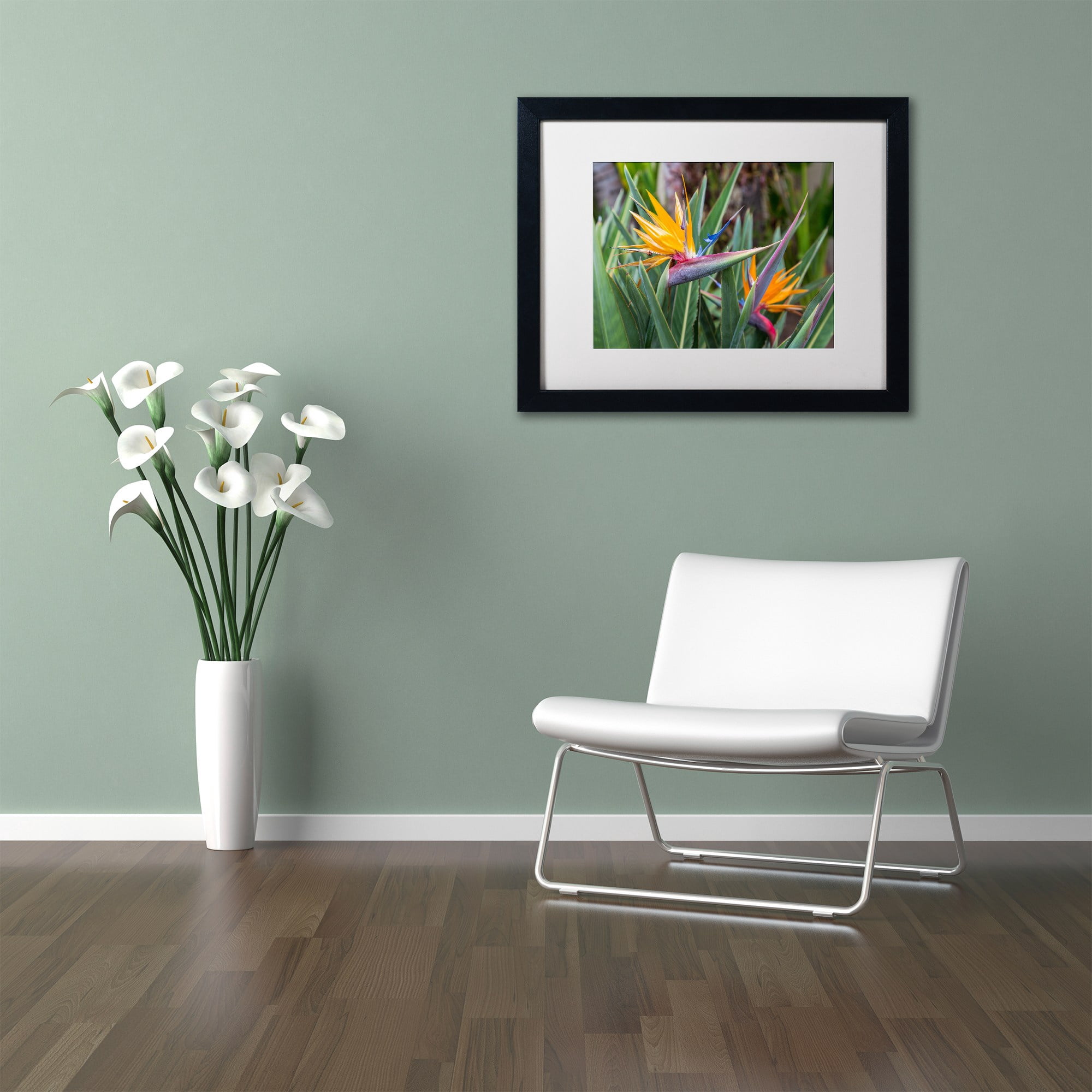 Trademark Fine Art 'Two Birds of Paradise' Canvas Art by Pierre Leclerc, White Matte, Black Frame