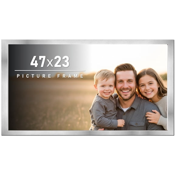47x23 Frame Silver Stainless Steel Solid Wood Picture Frame | 0.75 Inch Moulding Width | Includes
