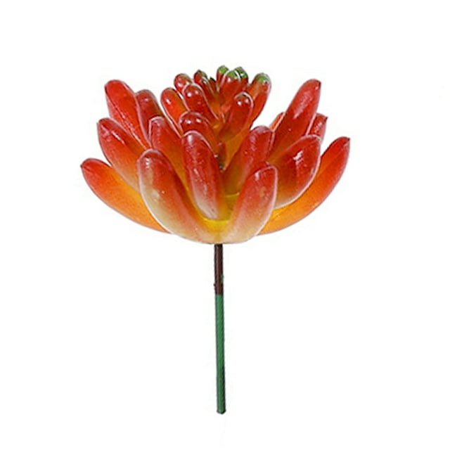 Coofit Artificial Succulent Lifelike Faux Succulent Plant Unpotted Succulent for Home