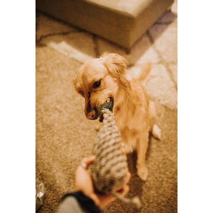 Outback Jack Écologique Krinkles Jouet Natural pour Chien Faisan Jouet de Chien de Corde