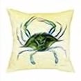 thumbnail image 3 of Betsy Drake HJ452 Cocoa Nut Tree Large Indoor & Outdoor Pillow, 3 of 4