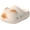 Beige-a, variant on Cat Paw Print Shoes for Women Men, Cat Paw Prints Shoe That Makes Paw Prints, Cute Summer Cat Paw Slippers