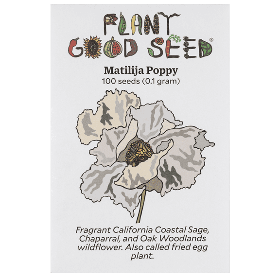Plant Good Seed Organic Matilija Poppy Seeds for Planting - 100 Count, Native California Perennaial Wildflower