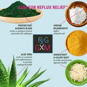 Reflux Gourmet Berry Soothe Gum Alginate Therapy Sodium Bicarbonate Gum for Acid Reflux، Oral، Cognitive، and Digestive Support، Natural with Ginger، Celeriac and Aloe، Sugar Free، Gluten Free، Vegan