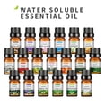 thumbnail image 2 of 10ml de incienso Soluble en agua aceite esencial lavanda árbol de té limón rosa océano aroma humidificadores refrescante relajarse liberar estrés, 2 of 5