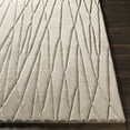 thumbnail image 3 of Surya Etching 2' X 3' Rectangle Area Rugs With Medium Gray Finish ETC4997-23, 3 of 7