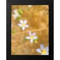 thumbnail image 2 of Popcorn 12x14 Black Modern Framed Museum Art Print Titled - Purple Flower IV, 2 of 5