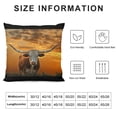 thumbnail image 5 of Orinice Cow with Long Horns at Sunset Graphic Decorative Pillow Cover for Home Couch Living Room Sofa - Aesthetic Decor 1PC 18x18in, 5 of 5