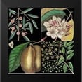 thumbnail image 2 of Catesby, Mark 12x12 Black Modern Framed Museum Art Print Titled - Graphic Botanical Grid II, 2 of 5