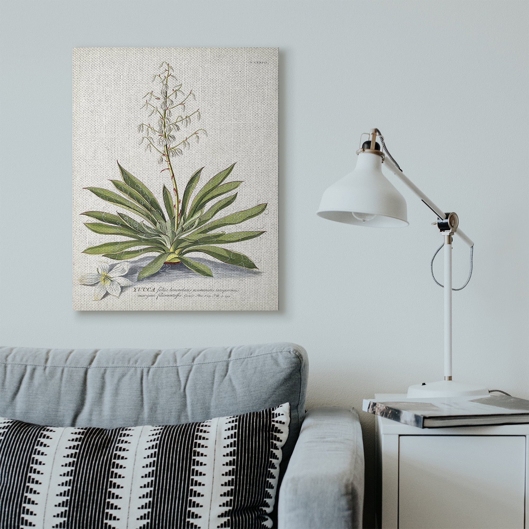 Stupell Home Décor Botanical Plant Illustration Ferns Vintage Design Canvas Wall Art by Unknown