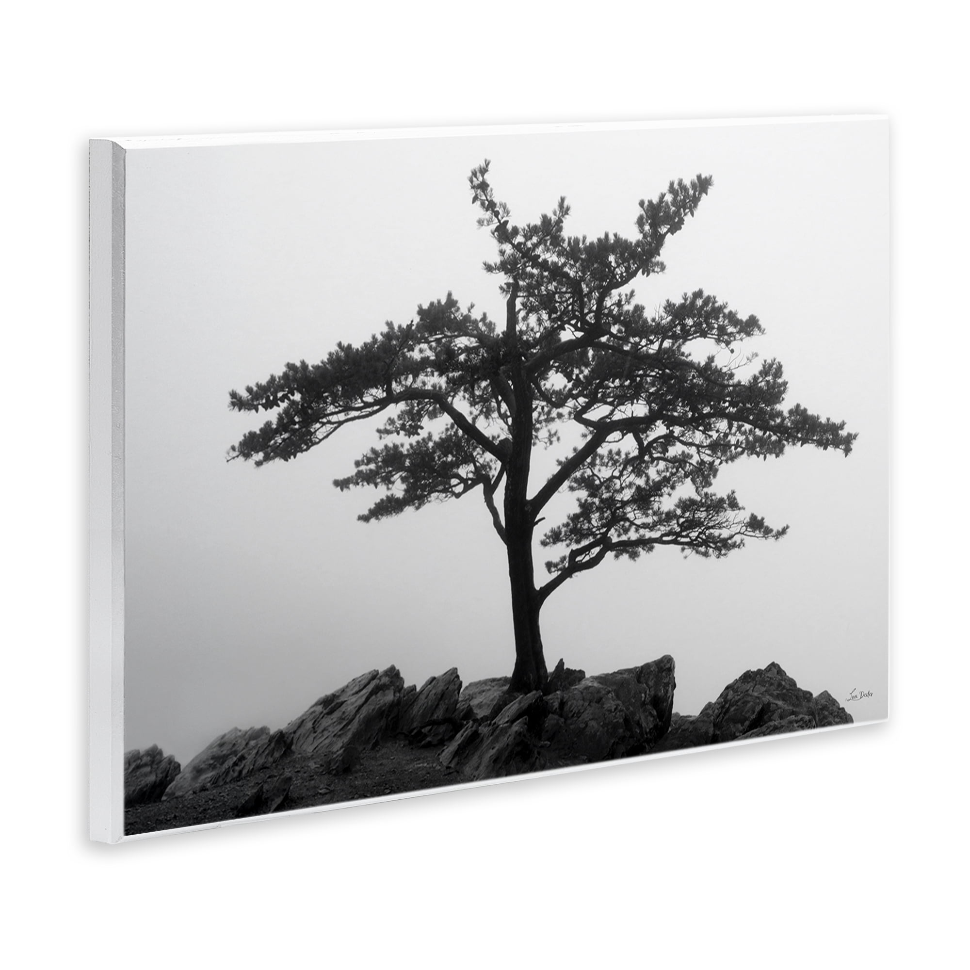 Stupell Industries Lone Tree on Rocks Landscape & Nature Photography Unframed Art Print Wall Art, 15 x 10
