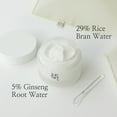 thumbnail image 3 of Beauty of Joseon Dynasty Cream Hydrating Face Moisturizer for Dry, Sensitive Skin, Korean Skincare for Men and Women 100ml, 3.38 fl.oz, 3 of 8